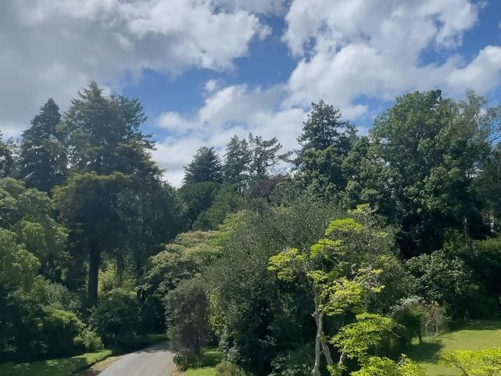 Gravel driveway curving through tall trees and green lawn
