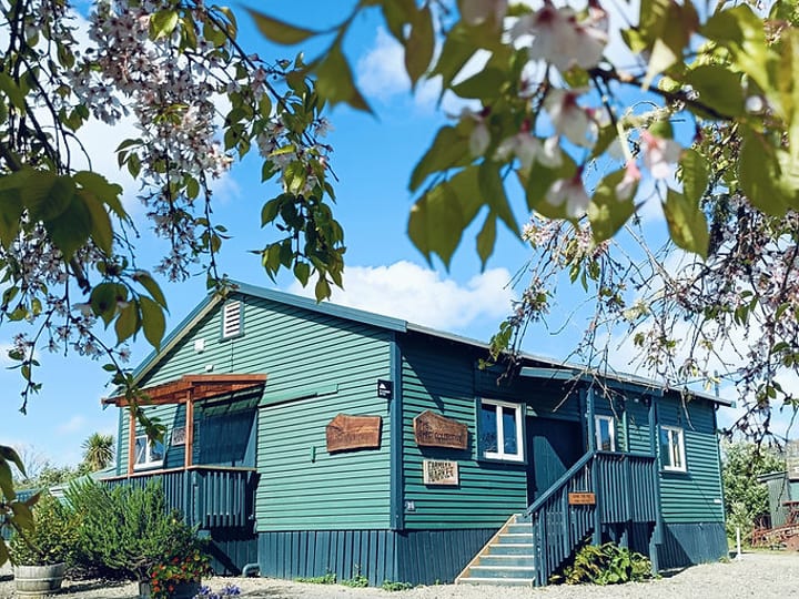 Green painted corrugated iron shed with covered entrance steps and flowering garden border