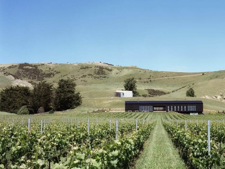 Dark pavilion building set in vineyard rows with rolling hills beyond