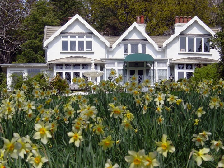 White heritage homestead building with gabled roofline fronted by daffodils