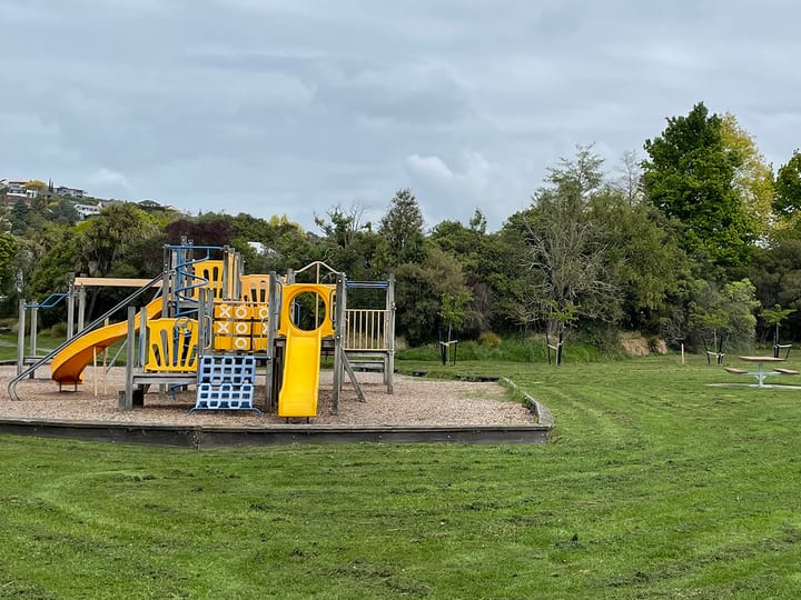 Open grass reserve with playground equipment and trees