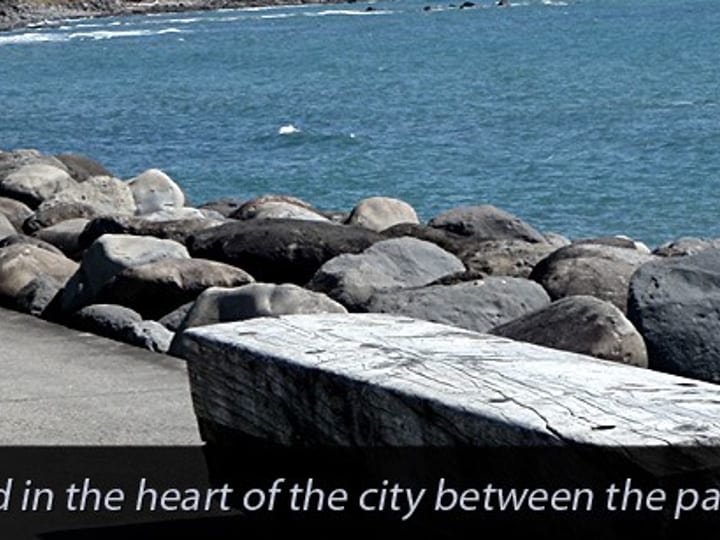 Rocky coastal seawall with ocean beyond, text overlay below