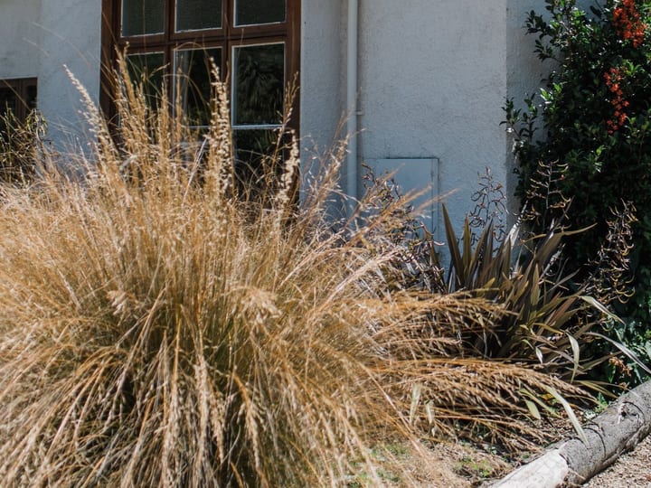 White rendered cottage exterior with chimney, ornamental grasses and shrubs in the foreground
