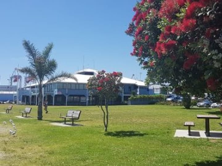 Club building exterior viewed from waterfront with lawn and trees