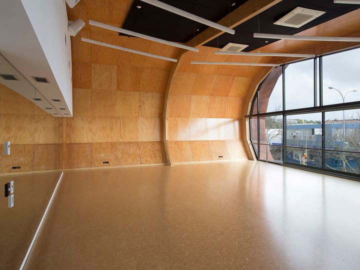 Studio room with curved plywood wall, wall mirror, cork floor, and timber ceiling, glazed windows on two sides