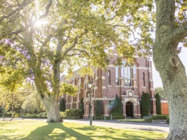 Red brick building facade partially screened by mature trees on a sunny lawn