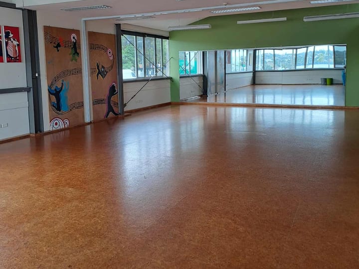 Dance studio with polished cork floor, mirror wall, and artwork on doors