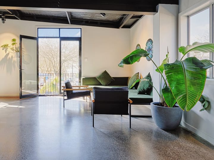 White-walled studio with polished concrete floor, black ceiling, lounge furniture and large plant