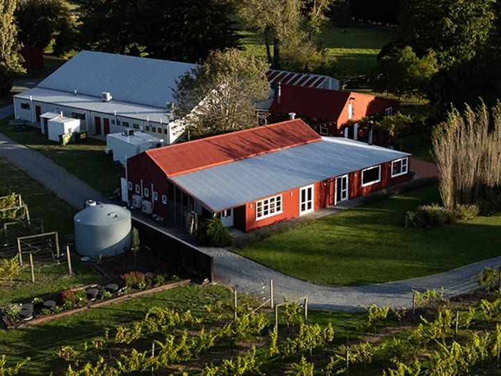 Aerial view of red-roofed farm buildings set among vineyard rows and open paddocks