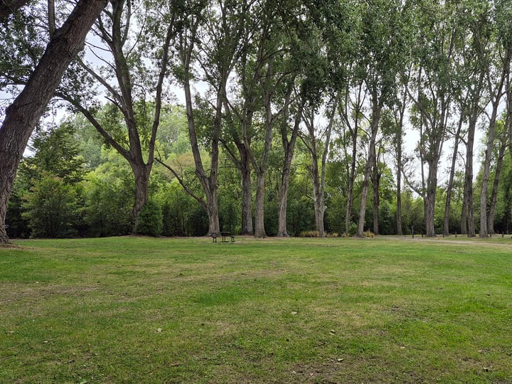 Grassy park area with trees and a picnic table in dappled shade