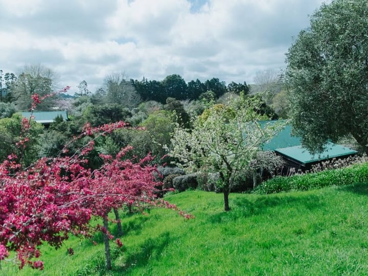 Garden grounds with flowering trees and cottage roof visible among plantings