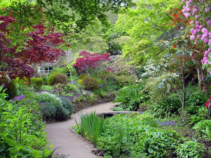 Winding garden path through dense colourful plantings and trees