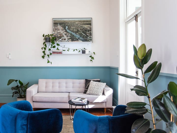 Blue-painted lounge room with white plaster ceiling, blue velvet chairs, grey sofa, and large plants