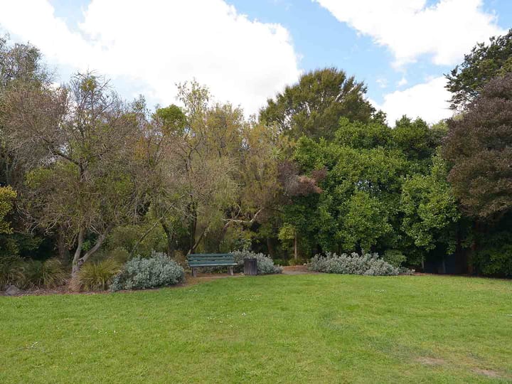 Parkland with bench seat, trees and open lawn