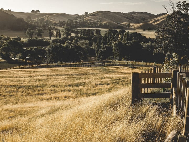 Rolling farmland with fence, trees and golden grass in late light