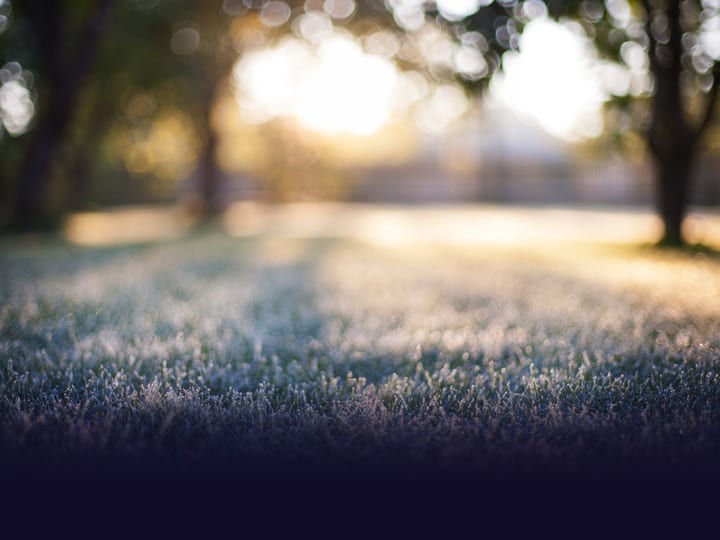 Frost-lit formal garden path with clipped hedges and cypress trees in morning light